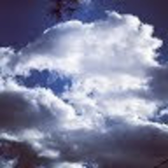 Meet your Posher, Emily - Picture 1 of 1